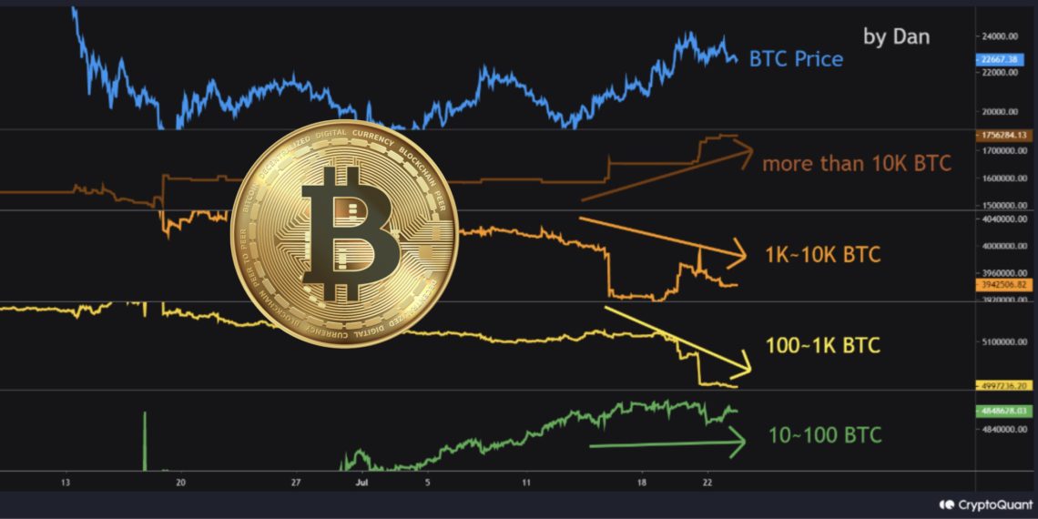 CryptoQuant：本次反弹由做市商推动 持万枚比特币巨鲸扫货